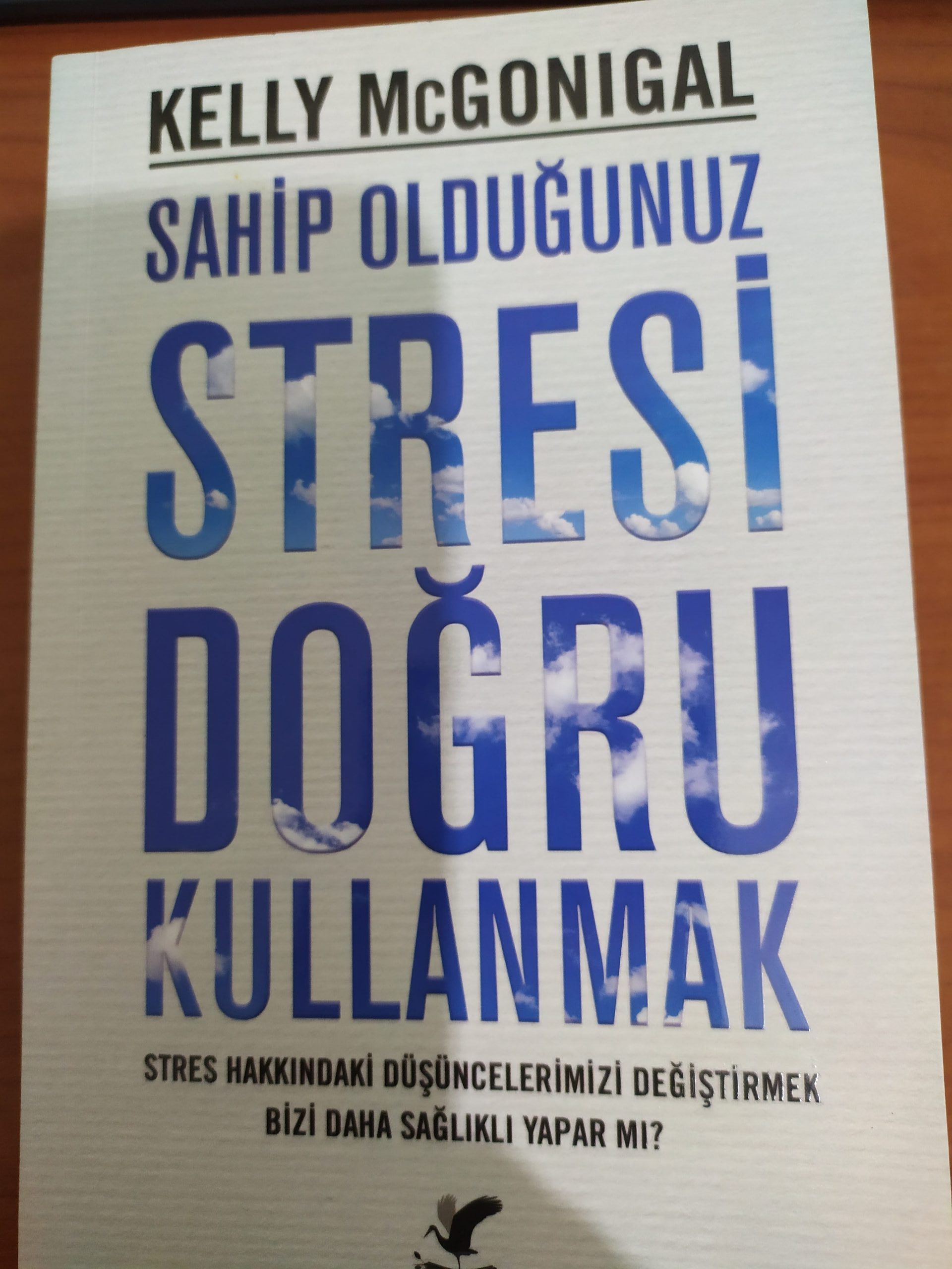 Sahip Olduğunuz Stresi Doğru Kullanmak